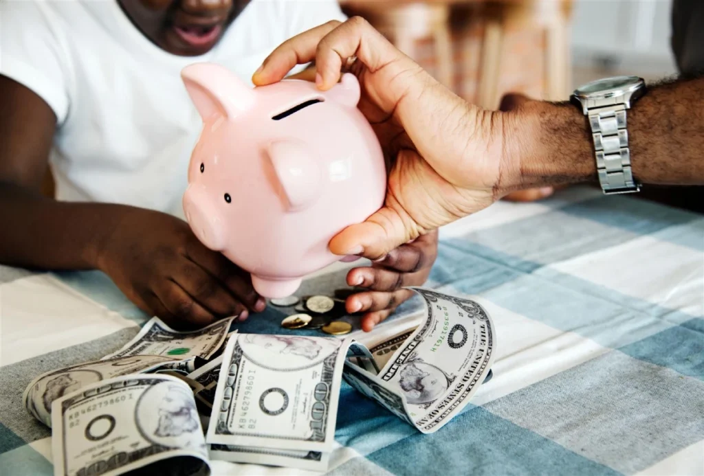 Provider Resource - Financial Resources